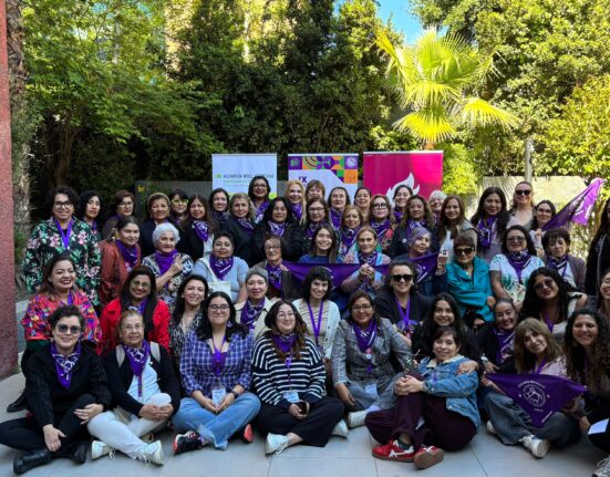 IX Encuentro de la RIPVG. Santiago de Chile, 23-25 octubre 2026
